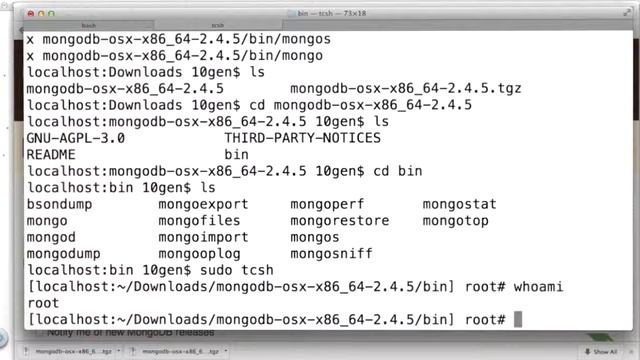 06 Installing MongoDB mac смотреть онлайн