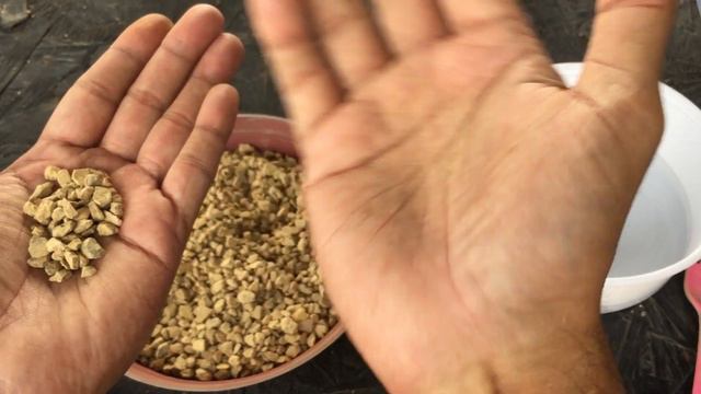 WHAT IS DECOMPOSED GRANITE ? | CAN WE USE IT IN SUCCULENT SOIL MIX ? | SUCCULENT CARE TIPS смотреть онлайн