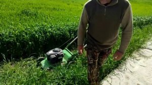 Как завести газонокосилку после зимы, а не увезти её в ремонт