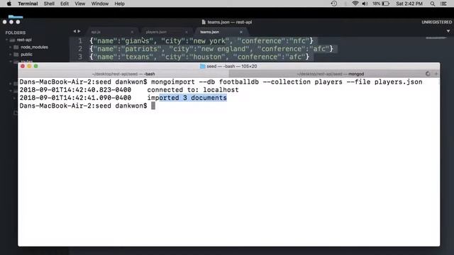 REST API Tutorial - Mongo DB Connection смотреть онлайн