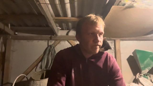 Курица несушка - покупать или инкубировать? Как купить несушек без обмана. Проблемы вакцинации смотреть онлайн