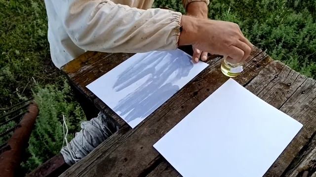 Как избавиться от клеща у пчел. Результат работы дым-пушки. смотреть онлайн