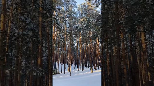 Мини влог «Спонтанная поездка в санаторий Чувашия»❄️🧣🧦 смотреть онлайн