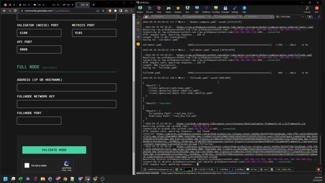 APTOS incentivized testnet. Устанавливаем ноду и регистрируемся в тестнет. смотреть онлайн