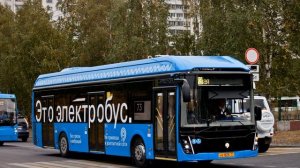 #11 Podcast: Электробус? Автобус и троллейбус? Что происходит?