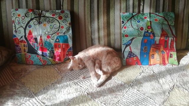 Новый декор для подушек с сайта Newchic.
Рум тур по беседке. смотреть онлайн