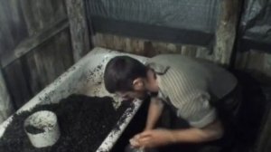 Вешенка Субстрат как готовить?Мицелий смешивание.Грибные блоки на шелухе.Стоимость Шелухи.Ответы ч.