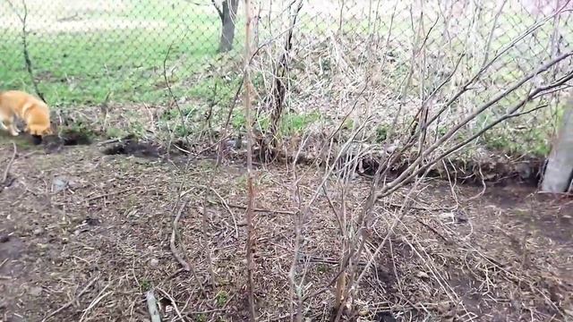 Продолжаем наводить порядок/Переезд на юг /Все с начала . смотреть онлайн