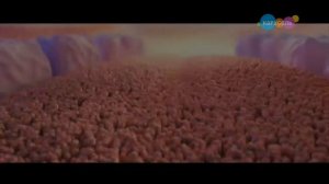 Анонсы и рекламные блоки (Карусель, 04.06.2023)