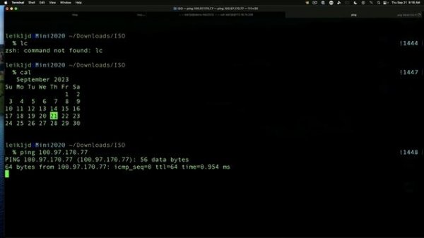 Netbird: an alternative to TailScale and Zerotier