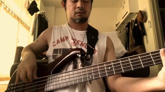 Nirvana - Breed Bass Cover (Ibanez BTB 775) смотреть онлайн