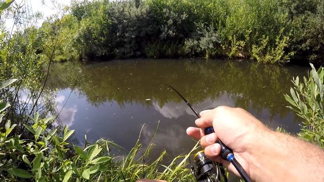 Их десятки, но радости от поимок нету. Канава, канал имени Москвы. смотреть онлайн