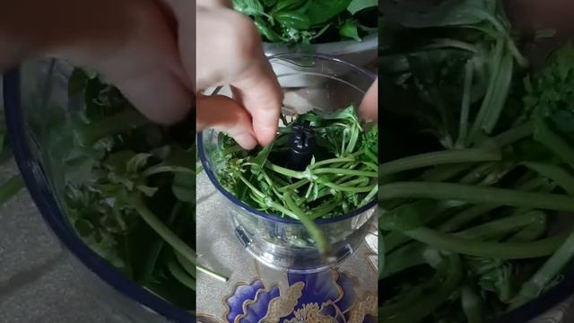 БАЗИЛИК на зиму в морозилку. На чай и в основные блюда. смотреть онлайн