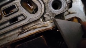 Honda Odyssey Valve Cover Removal - VTEC gasket - Lucy Narrating ?