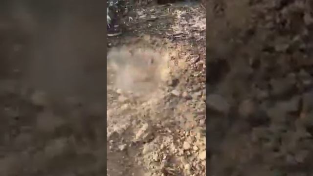 Minelab gpx gold on a 40 degree day смотреть онлайн