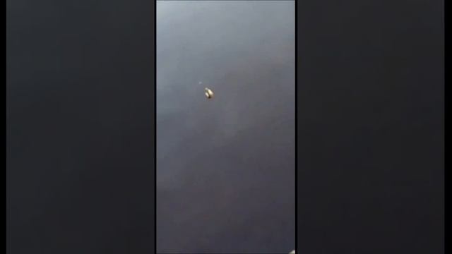 #рыбалка_на_поплавок #ловля_рыбы_на_удочку 4 рыбы за 40 секунд смотреть онлайн