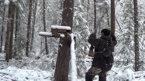 Охота на Соболя и Куницу капканами.  Сезон 22-23г  Второй путик, удачно.