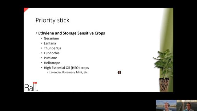 Tech On Demand: Success With Cuttings (Part 3) – Proper Storage = Happy Cuttings смотреть онлайн