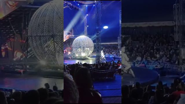 Globo da Morte circo Mirage Marcus Frota смотреть онлайн