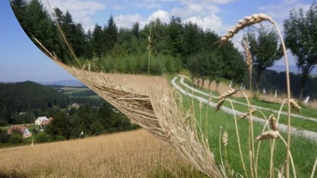 Gaboń-Nowy Sacz Malopolska смотреть онлайн