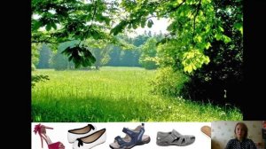 Виды обуви СБО