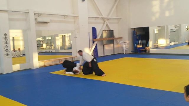 Новиков Иван Анатольевич 6 дан Айкидо Айкикай смотреть онлайн