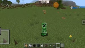 показываю как превращаться в мобов разных мобов в Minecraft