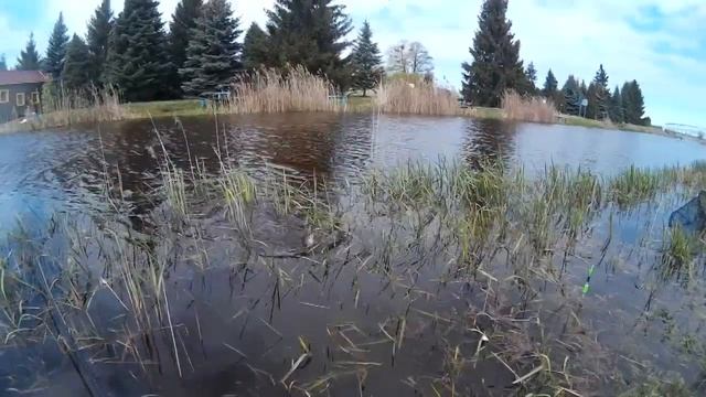 рыбалка. выгонощанское озеро. 12.05.2017 смотреть онлайн