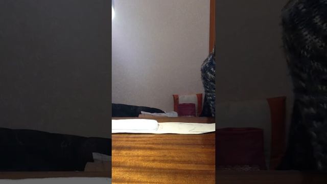 Делаю байкерский кожаный ремень Харлей Дэвидсон. Одно из первых видео 2016 года смотреть онлайн