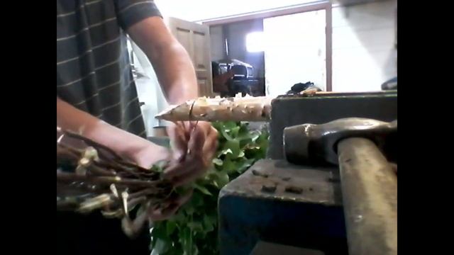 виртуозное вязание веников для бани смотреть онлайн