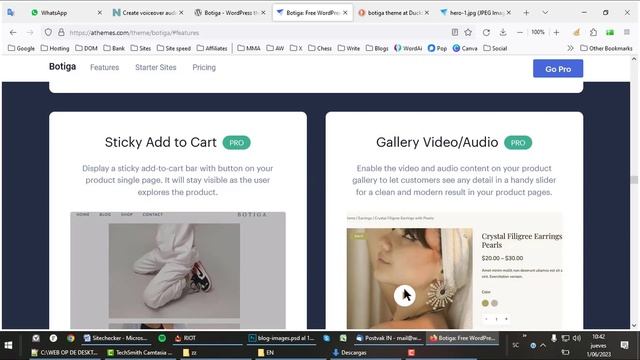 Botiga vs OceanWP - What is the BEST E-commerce Theme? смотреть онлайн