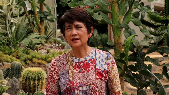 Nag Simula sa Hobby ngayun ay AgriTourism na | Cactus Farming | AgriVenture смотреть онлайн