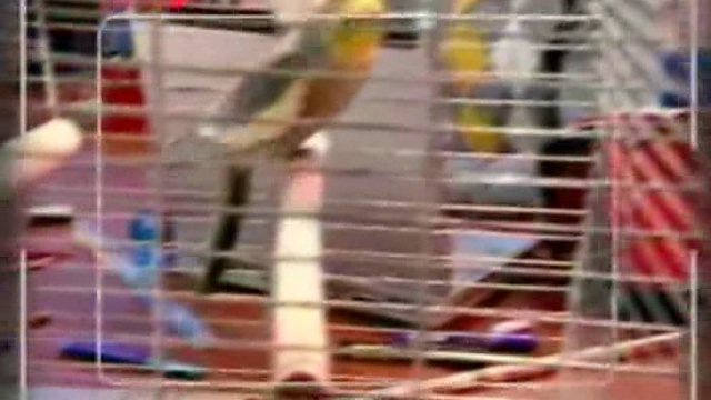 Akademiya.Zanimatel`nix.Nayk.47.Seriya.Elektrichestvo.Molniya.Tok смотреть онлайн