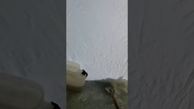 Палатка Зонт (Китай)... позор смотреть онлайн