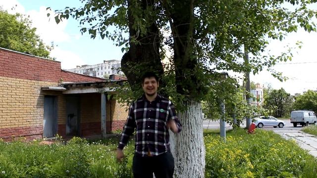 Чем регулируется обрезка деревьев? смотреть онлайн