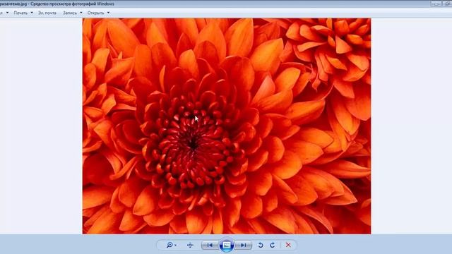 Конвертируем Jpeg в Pdf  Переводим Bmp в Pdf, Gif в Pdf, Png в Pdf, Tiff в Pdf