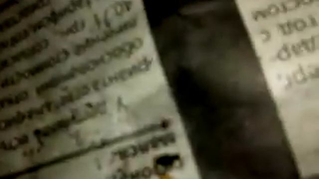 Выращивание пеларгонии из семян. + результат. смотреть онлайн