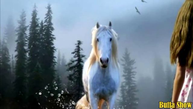 Richard Clayderman - La Force de L'Amour смотреть онлайн
