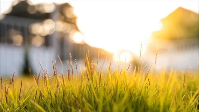 ВОСХИЩЕНИЕ ЦЕРКВИ БЛИЗКО смотреть онлайн