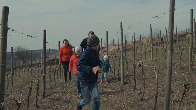 VinulMeu. Unicorn Winery