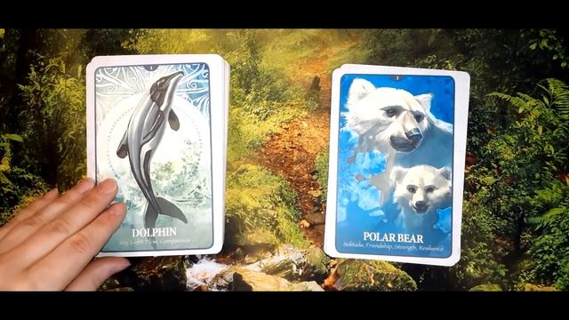 Secret Languages of Animals Oracle by Chip Richards (2013) (MM) Quick Flip Through смотреть онлайн
