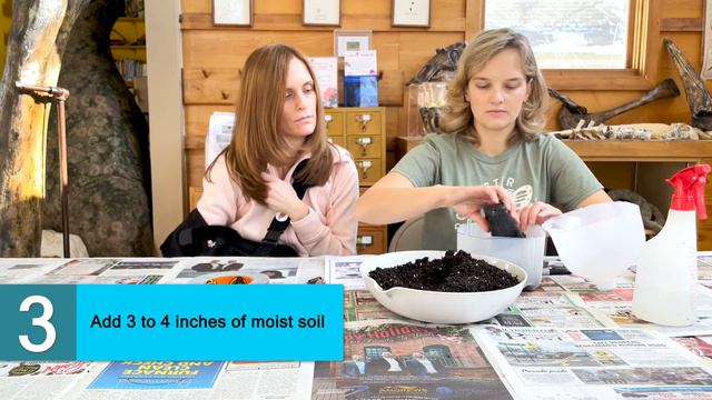 Winter Sowing—Planting of Native Flower Seeds смотреть онлайн
