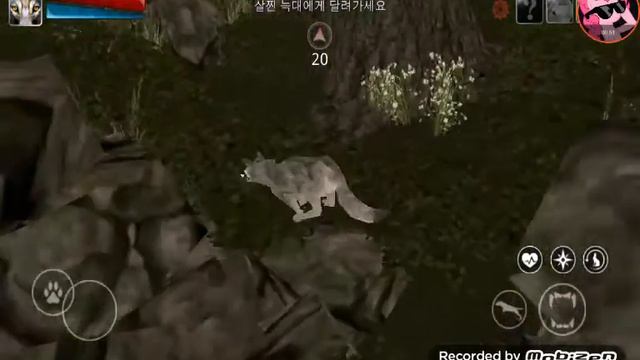 Life of wolf Reboot: Helping the fat wolf! смотреть онлайн