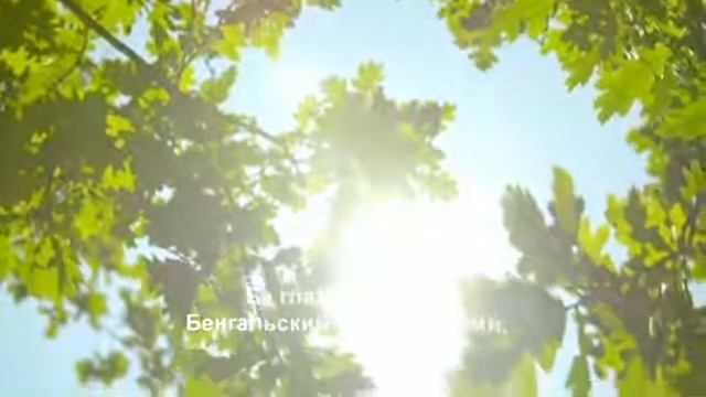 Смешная | Автор стихотворения: Станислав Аспин смотреть онлайн