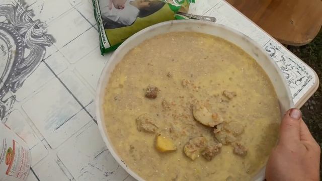 Чем и как кормить вьетнамских поросят. смотреть онлайн