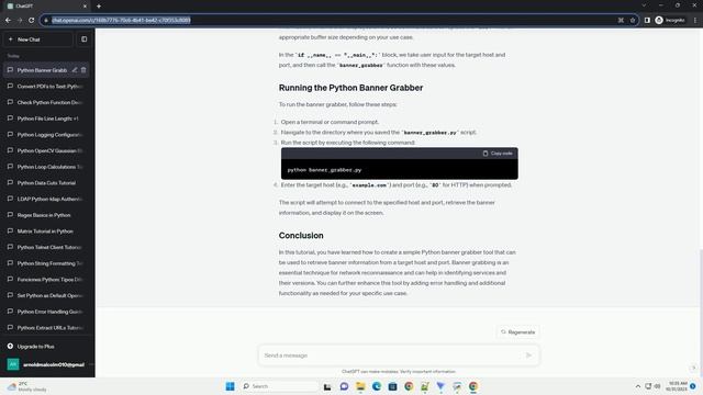Python Banner Grabber смотреть онлайн