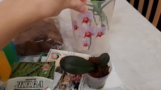 Собираю посылку для "цветанутого друга" 😄 смотреть онлайн