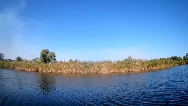 Рыбалка в Сентябре на Маховое удилище 5 метров с глухой оснасткой. смотреть онлайн