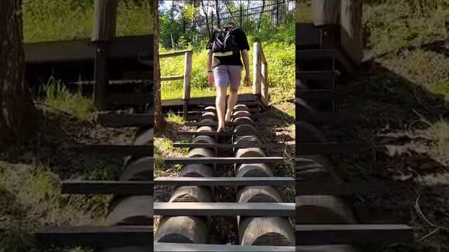 Лосиный остров и мой любимка внучок Илюша. По этим тропам надо идти босиком. смотреть онлайн