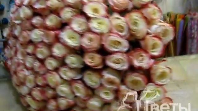 101 роза 60 см Свитнес.wmv смотреть онлайн